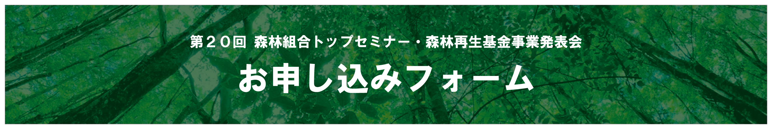 第20回 森林組合トップセミナー・森林再生基金事業発表会 申し込みフォーム